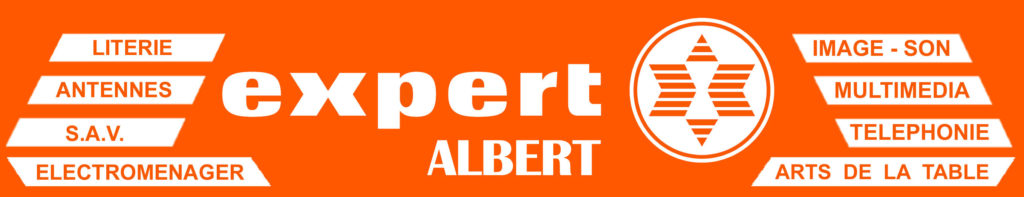 EXPERT ALBERT